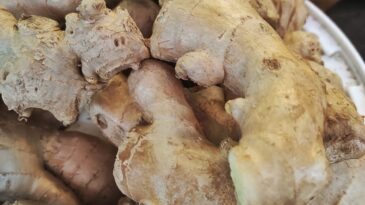 Zencefil Tüketmenin Tam Zamanı