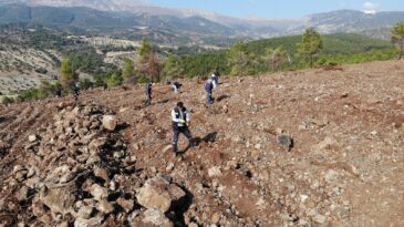 BİNLERCE FİDAN TOPRAKLA  BULUŞTU