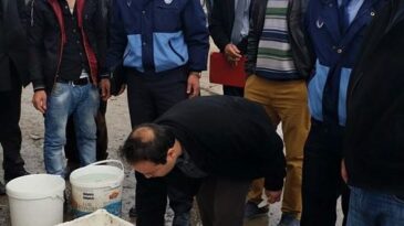 Reyhanlı’da 70 Kilo Bozuk Balık İmha Edildi