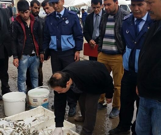 Reyhanlı’da 70 Kilo Bozuk Balık İmha Edildi
