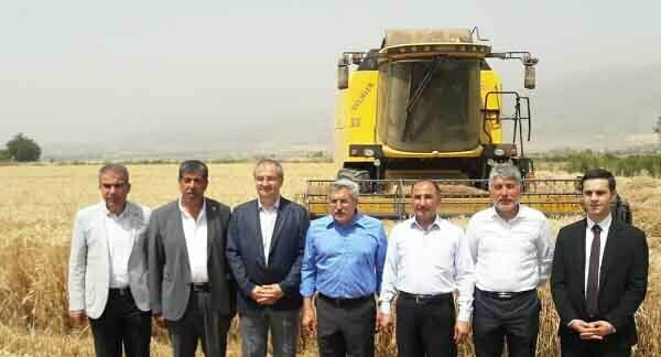 BUĞDAY’DA 245 BİN TON REKOLTE BEKLİYORUZ