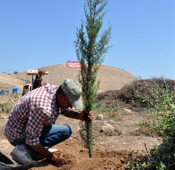 BAYRAK TEPE AĞAÇLANDIRILIYOR
