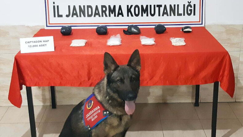 Reyhanlı’da 12 bin adet captagon ele geçirildi