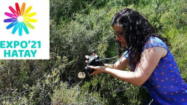 ENDEMİK TÜR, EXPO 2021’İN LOGOSUNA İLHAM OLDU