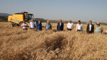 YAYMAN ‘ BUĞDAY ÇİFTÇİNİN YÜZÜNÜ GÜLDÜRECEK’