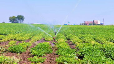 Hatay’da Sulama Sezonu Devam Ediyor