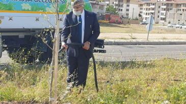 ÇINAR AĞAÇLARIYLA GÖZÜ GİBİ İLGİLENİYOR