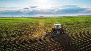 Çiftçilere destek ödemesi başladı