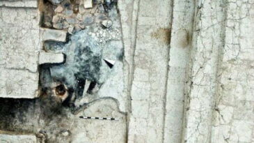 İSKELET DNA’LARINDA YAPILAN ÇALIŞMA “CELL”DE YAYIMLANDI