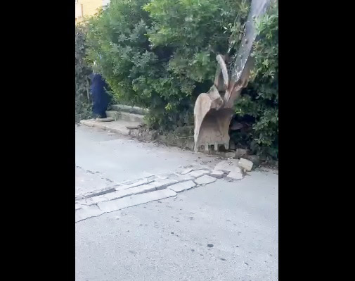 İzinsiz yapılan kasisler kaldırıldı