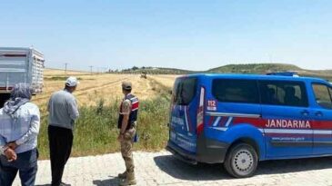 Ormanları Jandarma koruyor