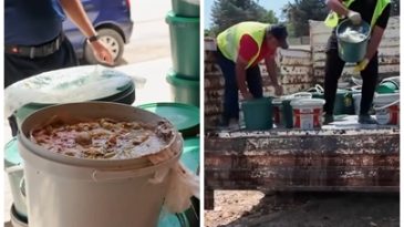 REYHANLI’DA İNSAN SAĞLIĞINI TEHDİT EDEN KİLOLARCA TURŞU İMHA EDİLDİ