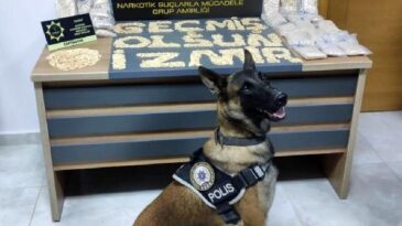 Reyhanlı’da uyuşturucu operasyonu