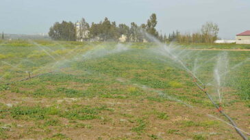 AMİK OVASINDA SULAMA SEZONU BAŞLADI