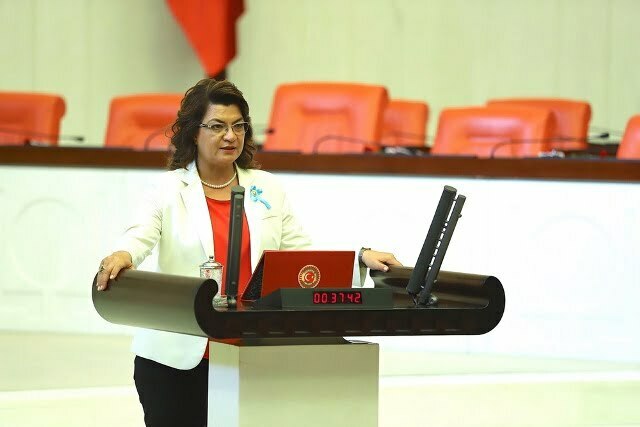 SUZAN ŞAHİN: ‘‘HATAY ÜVEY EVLADINIZ MI?!’’