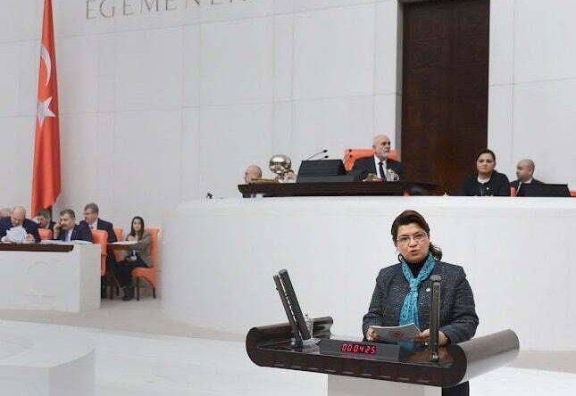 SUZAN ŞAHİN: NARENCİYE ÜRETİCİSİNİN SORUNLARI ARAŞTIRILSIN !