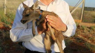 HATAY BAŞKAN SAVAŞ İLE DOĞAYA SARILDI