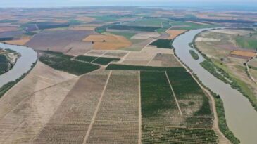 HATAY, ADANA,MERSİN VE OSMANİYE’DE  2020 YILI SONUNA KADAR 163 BİN 688 HEKTAR ALANDA TOPLULAŞTIRMA YAPILDI