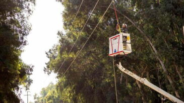 Toroslar EDAŞ Hatay’da bakım ve yatırımlarını  sürdürüyor