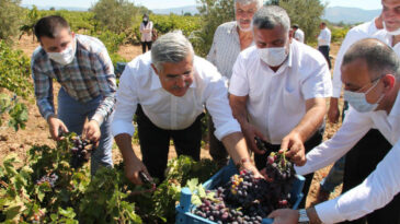 YAYMAN,  “HASSA ÜZÜMÜNÜ MARKA YAPACAĞIZ”
