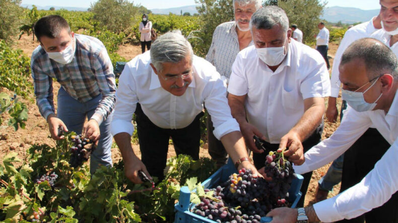 YAYMAN, “HASSA ÜZÜMÜNÜ MARKA YAPACAĞIZ”